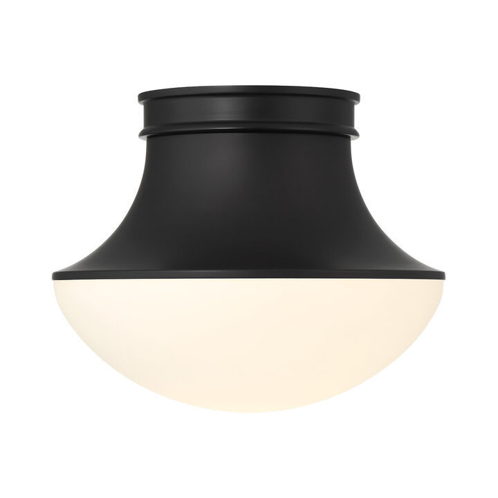 Jayden Flush Mount, Matte Black | Lights.com
