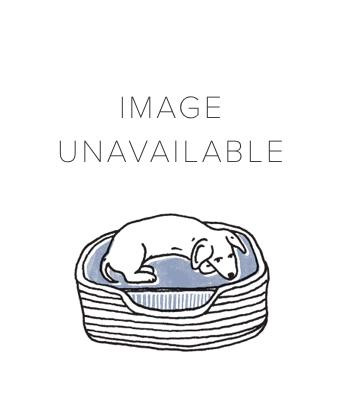 Tofino Swivel Chair - Light Dune | Serena and Lily