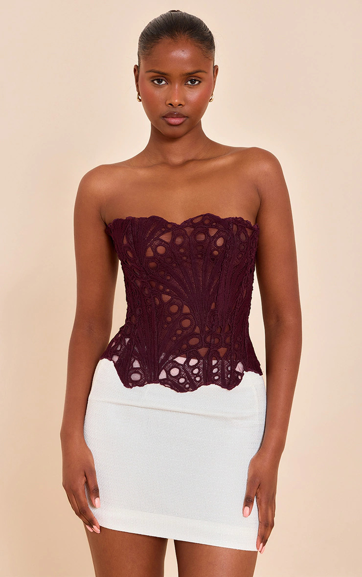 Dark Plum Textured Sheer Floral Lace Corset | PrettyLittleThing UK