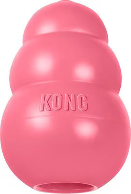 KONG Puppy Chew Dog Toy, Pink, Small | Chewy