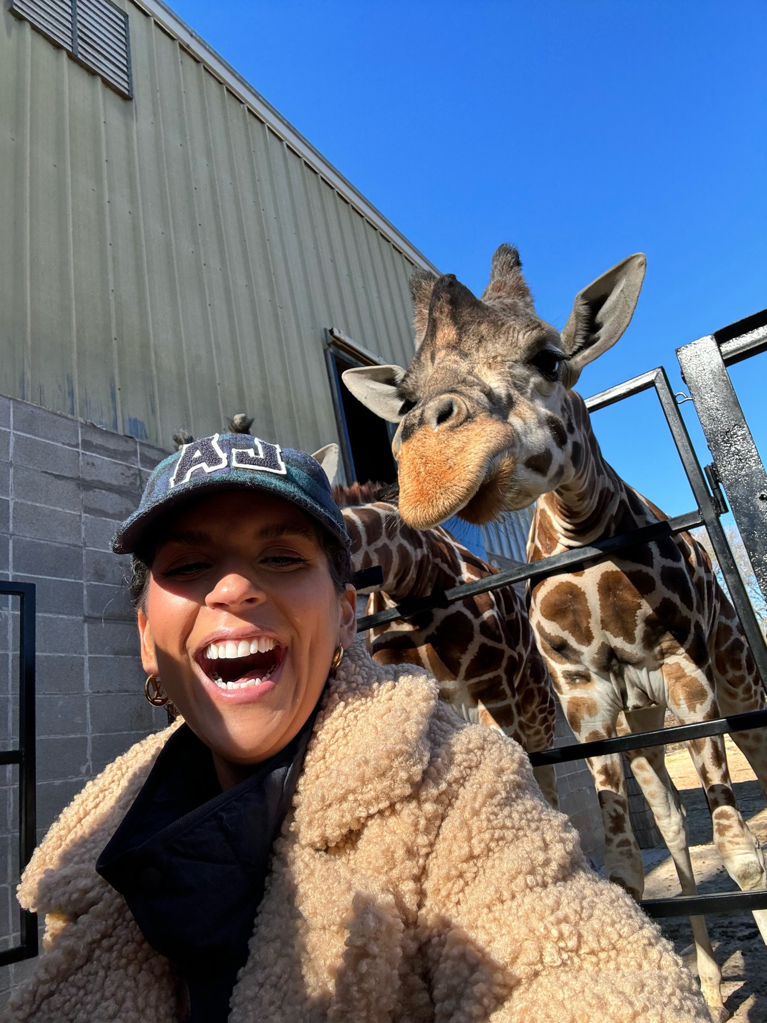 Best selfie ever 🤗🦒

#LTKSeasonal #LTKHoliday #LTKGiftGuide