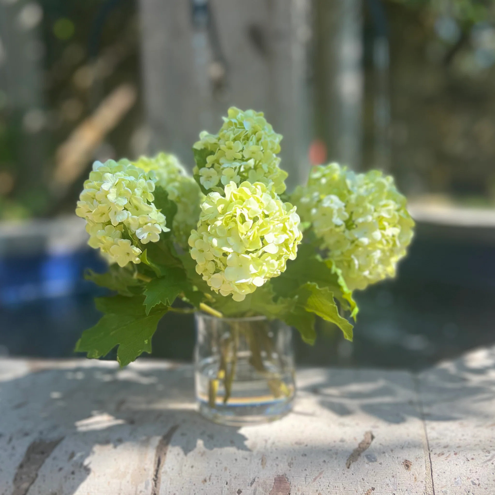Vivian Rose Silk hydrangeas arrangement in vase | Perigold | Perigold
