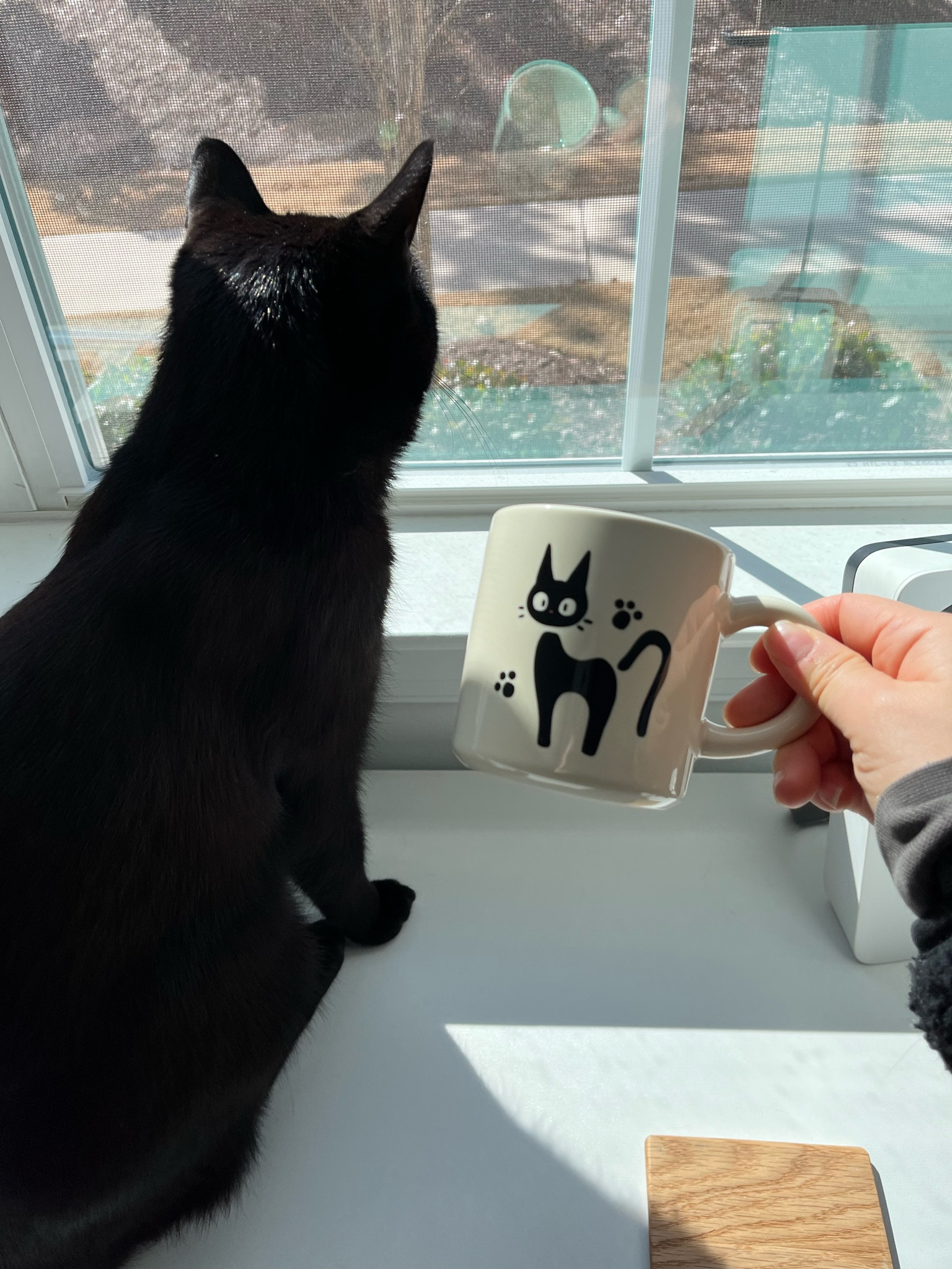 The Jiji mug from Kiki’s Delivery Service o(^o^)o

#LTKhome #LTKGiftGuide
