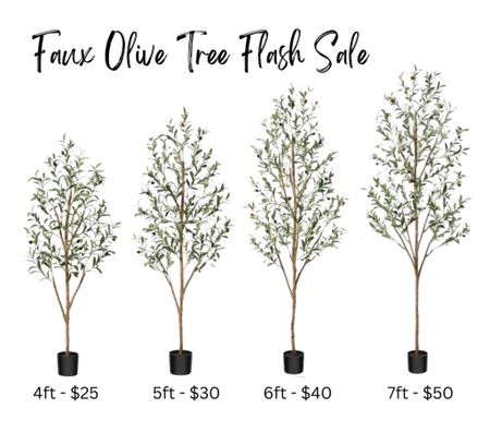 Faux olive tree flash sale!! I just ordered 2 of these trees for the house because the prices are so good! I also linked some tree baskets too. 

My woven basket planter is also on sale for $15 from $20!

Walmart home, Walmart finds, faux tree


#LTKSaleAlert #LTKHome #LTKFindsUnder50