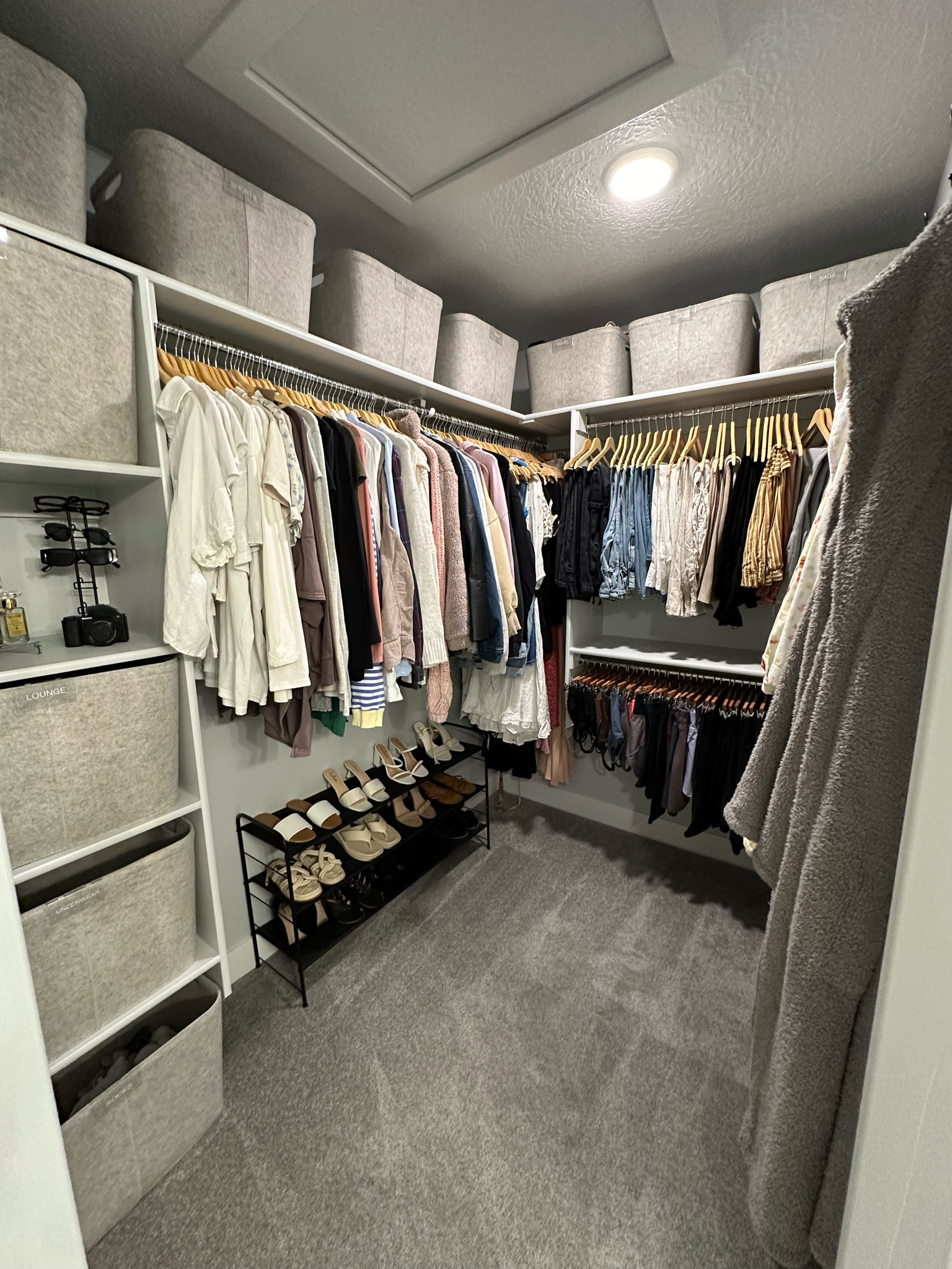 Sabriena’s Dreamy Closet Organizationn

#LTKFindsUnder100 #LTKFindsUnder50 #LTKHome