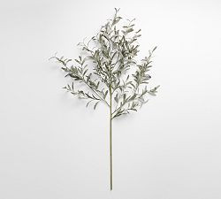 Faux Fading Olive Branch | Pottery Barn (US)