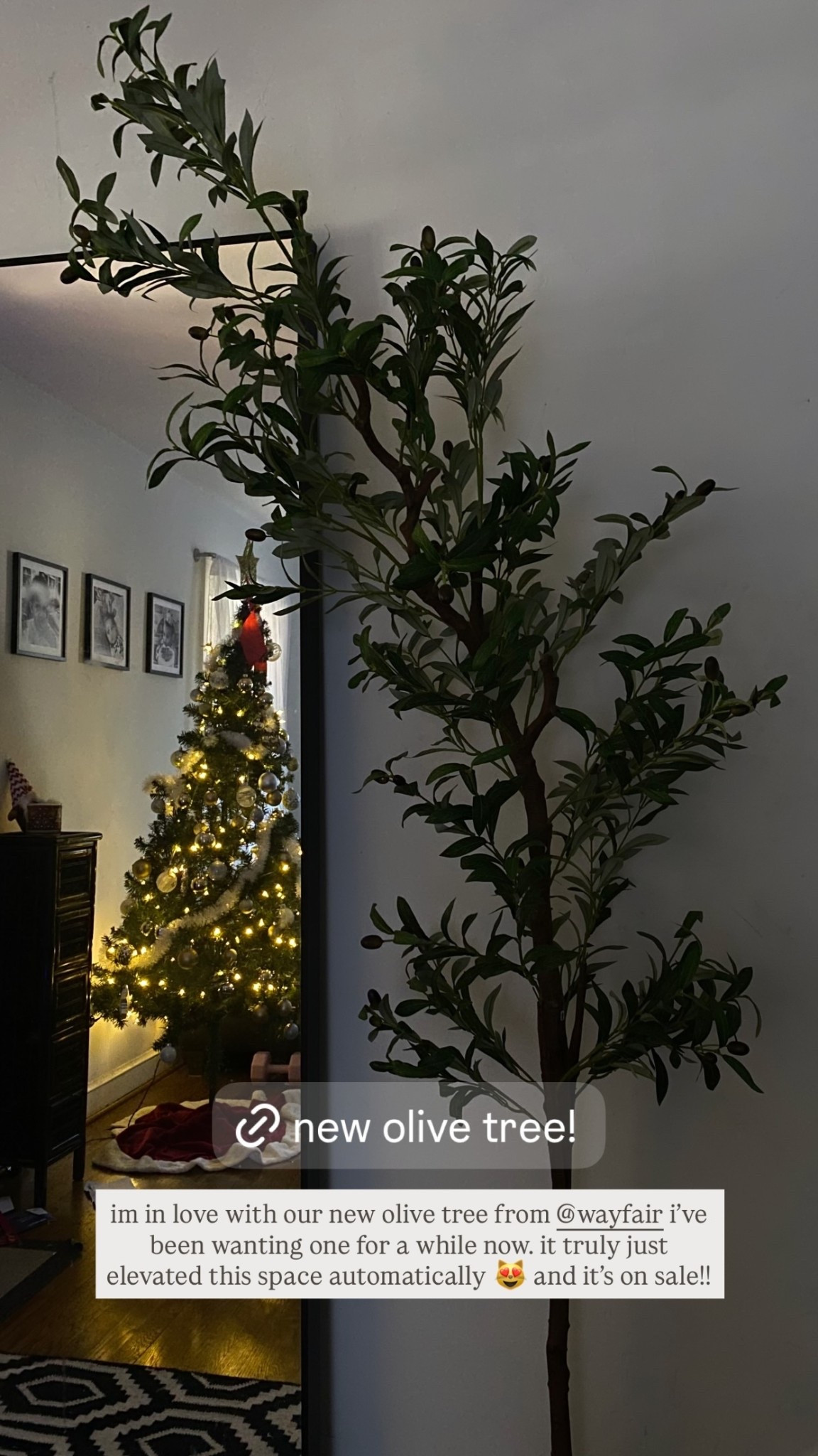 im in love with our new olive tree from Wayfair. i’ve been wanting one for a while now. it truly just elevated this space automatically 😻 and it’s on sale!!

#LTKSaleAlert #LTKCyberWeek #LTKGiftGuide