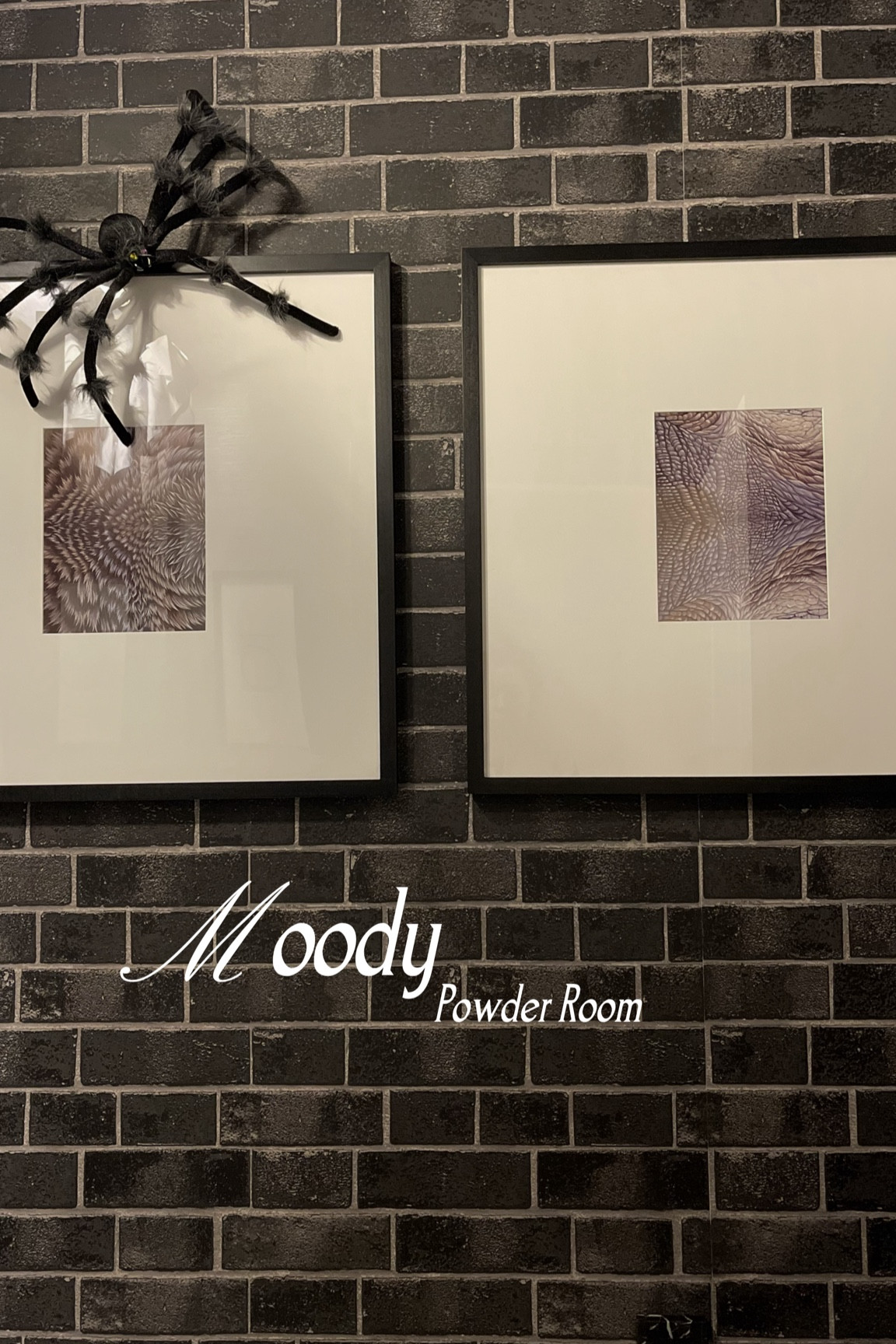 The dark powder room
Halloween decor 🕷️
Black bathroom
#ltkhome #ltkover40 #ltkhalloween

#LTKfindsunder50 #LTKstyletip #LTKfindsunder100