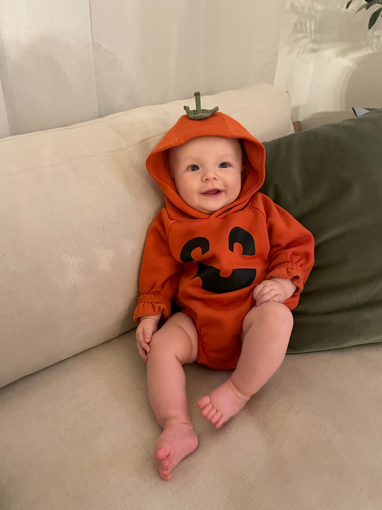 Pumpkin Bubble is back this year and they have so many other cute ones, all on sale today for $20!

Halloween, baby Halloween outfit, baby, baby bubble, Halloween bubble, baby pumpkin outfit, baby pumpkin, pumpkin bubblee

#LTKBaby #LTKSaleAlert #LTKSeasonal
