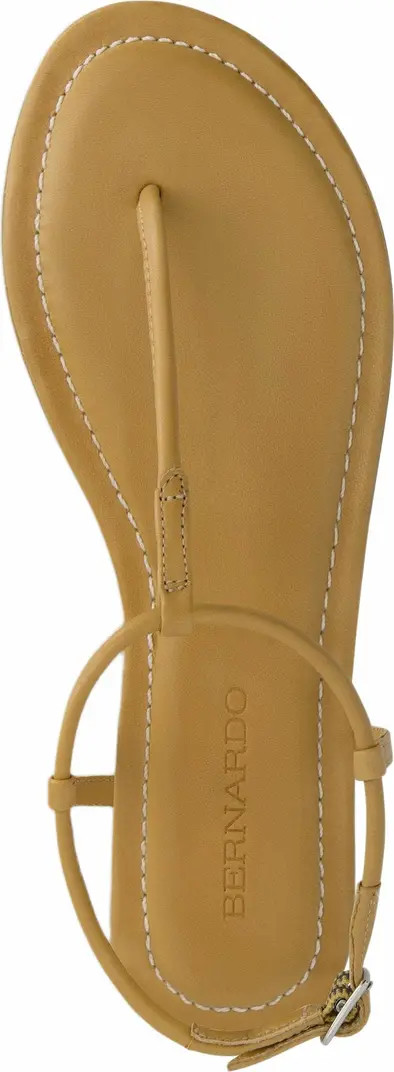 Hercu T-Strap Sandal | Nordstrom