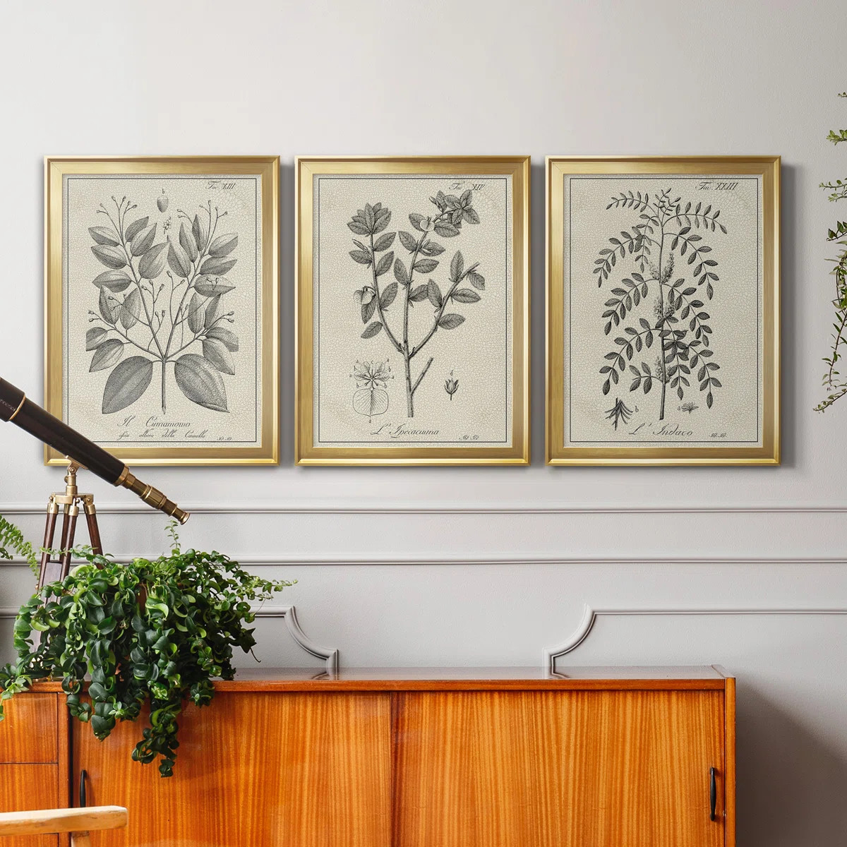 Laurel Foundry Modern Farmhouse® Antique Black and White Botanical VII - 3 Piece Picture Frame P... | Wayfair North America