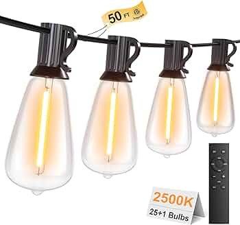 50FT Outdoor String Lights with Remote, Garden Patio Decor with 2500K Warm White, 25+1 LED Edison... | Amazon (US)