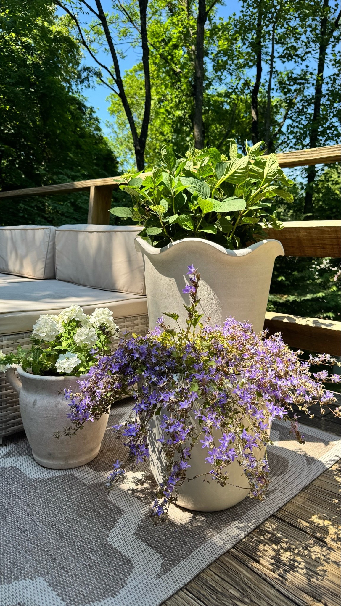 Outdoor planters with sun loving flowers bring so much joy!

#LTKdayinmylife #LTKSeasonal #LTKHome