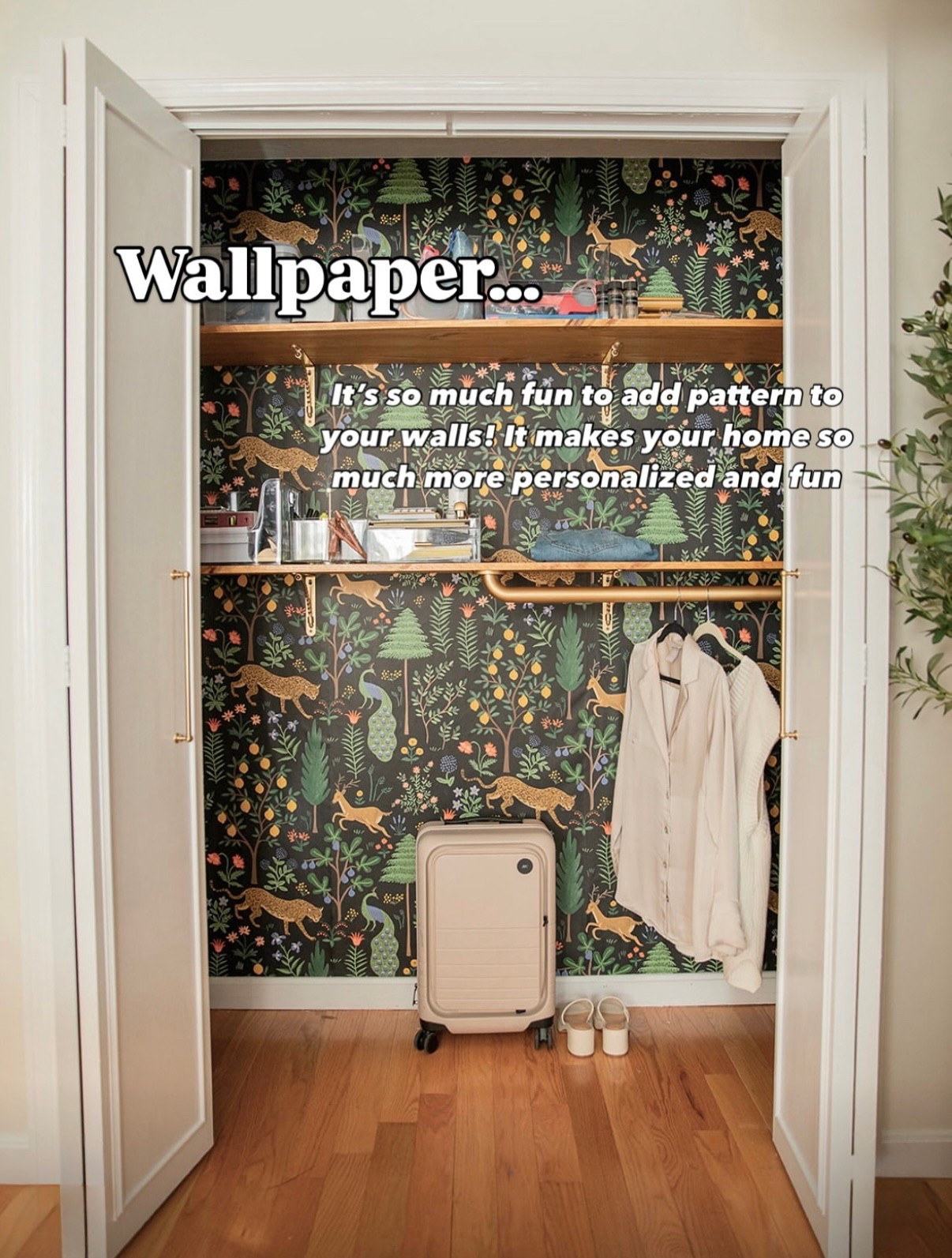 Wallpaper is having a major moment and I’m fully on board. Whether you go bold like this whimsical jungle print or keep it subtle, it’s the easiest way to add personality to any nook or closet. I’m linking some of my favorite peel-and-stick options, classic patterns, and renter-friendly picks! #wallpaperinspo #ltkhome #closetgoals #peelandstickwallpaper #grandmillennialstyle #ltkfinds #homedetails


#LTKHome #LTKSummerEdit