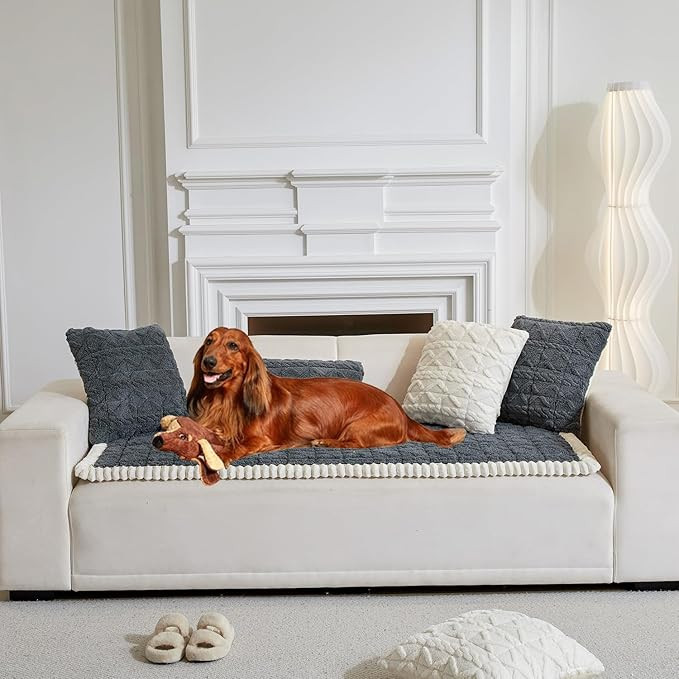 Sofa Cover Fuzzy Couch Cover for Pet, Couch Covers for Dogs Washable Non-Slip Sofa Slipcover Cush... | Amazon (US)