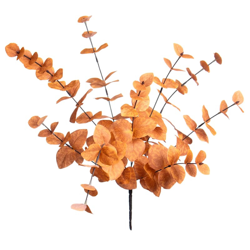 Orange Eucalyptus Stem, 21.5" | At Home