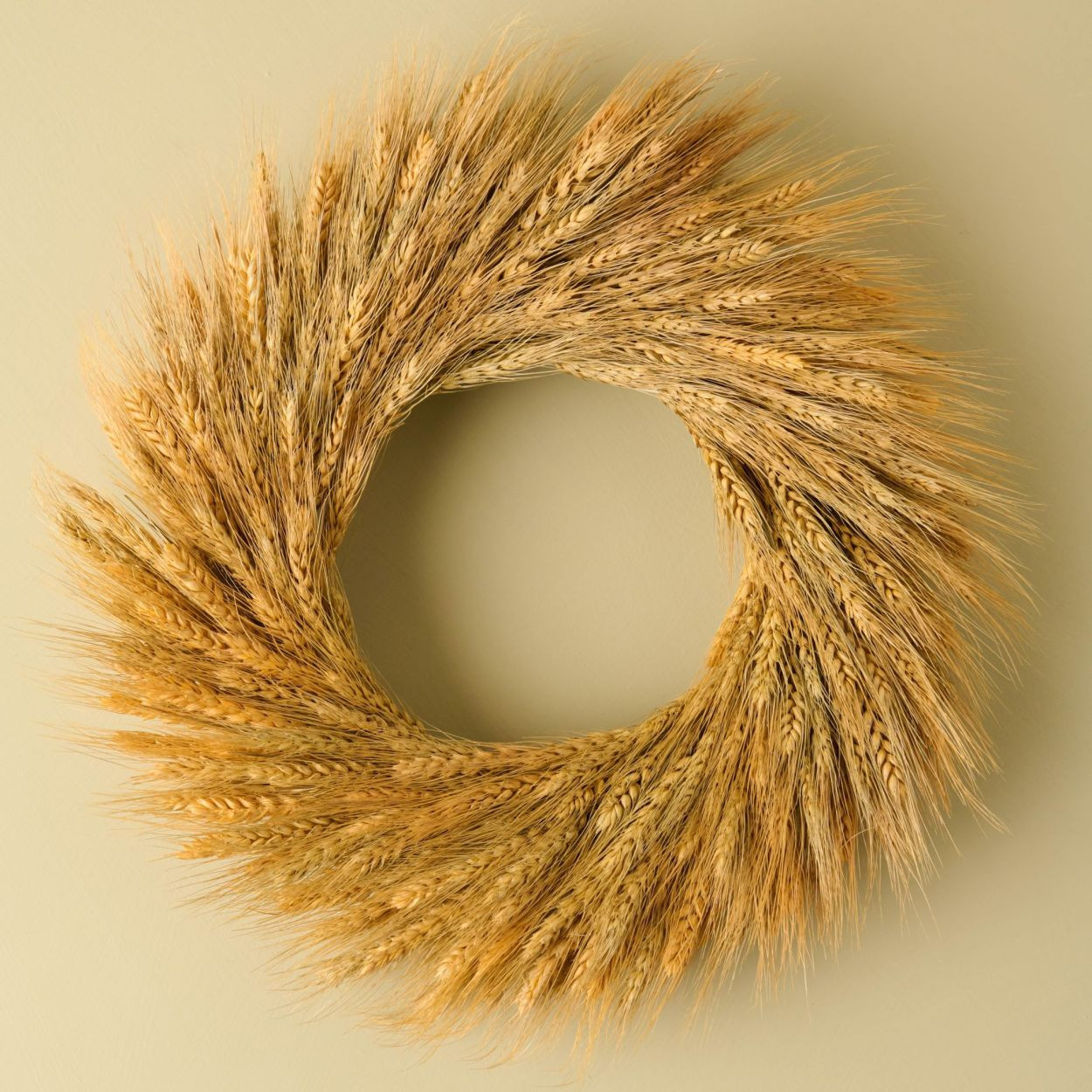 Natural Wheat Wreath | Magnolia