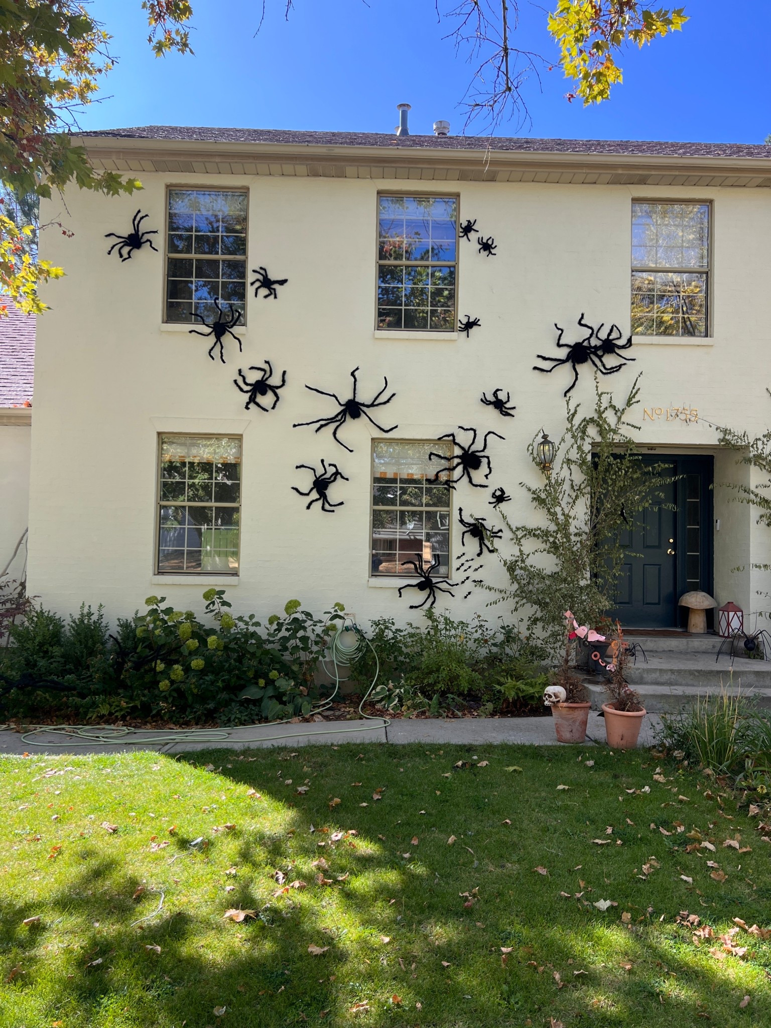 Spider time is upon us! 

#LTKFindsUnder100 #LTKHome #LTKSeasonal