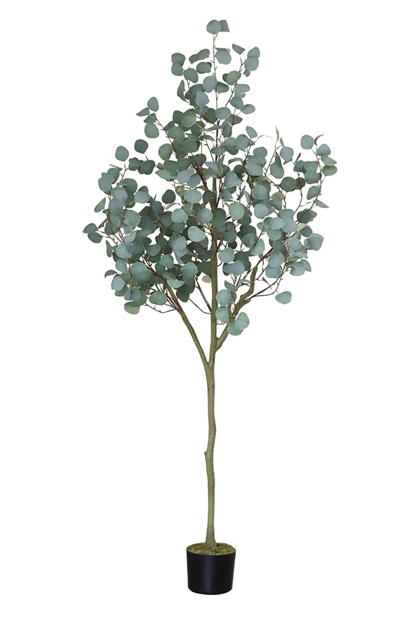 Use code 60Q7NI33 at checkout- 6ft eucalyptus= $60 after discount! 5ft eucalyptus= $51 after discount! 

#LTKSeasonal #LTKhome #LTKsalealert