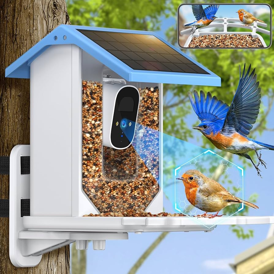 Bird Feeder with Camera Solar Powered, Outdoor Smart Bird Feeder, 4 MP HD Auto Capture Bird Video... | Amazon (US)