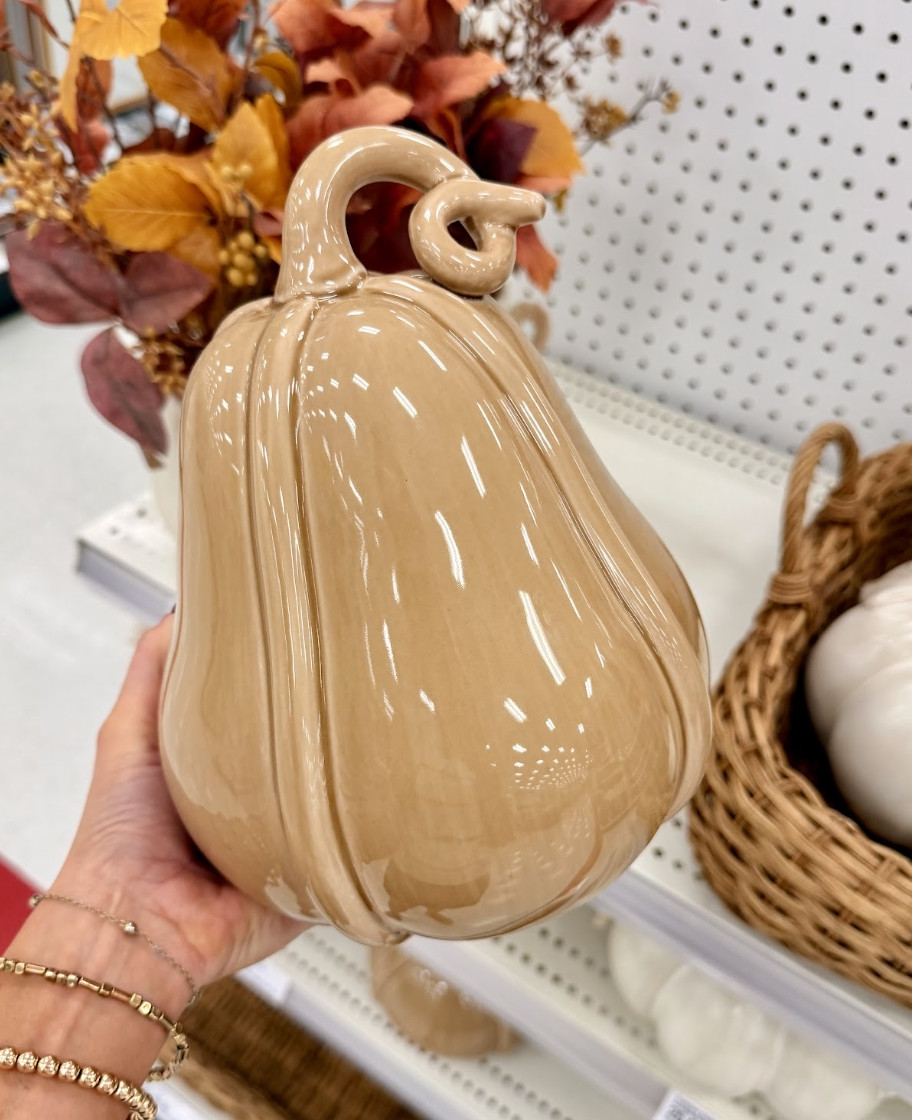 Target has the cutest fall finds for the home right now! 

 #LTKSeasonal #LTKHome