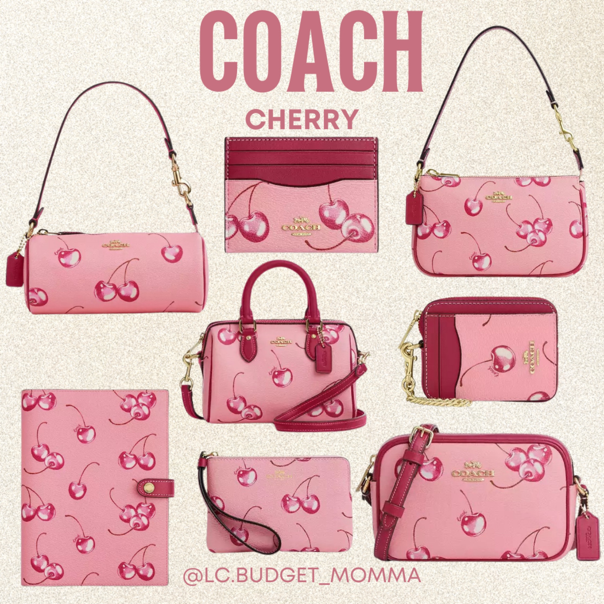 COACH CHERRY 🍒 ✨

#bag #purse #wallet #pink #red #cherryy

#LTKGiftGuide #LTKItBag