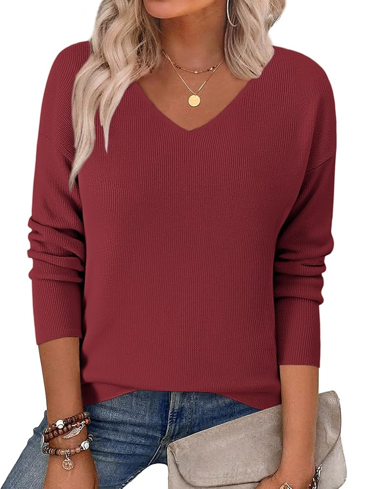 Zeagoo Women's 2025 Fall Sweaters Long Sleeve V Neck Knit Pullovers Business Casual Sweater Tops | Amazon (US)