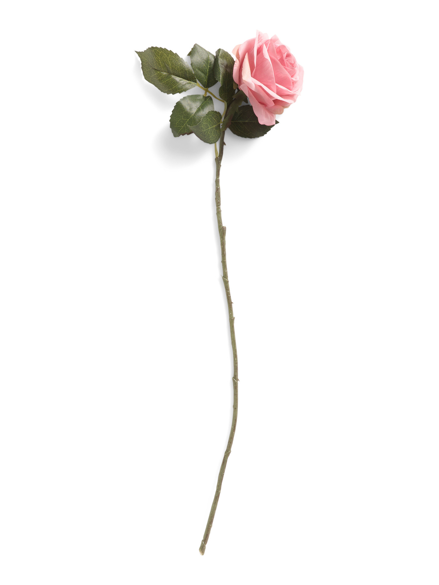 20in Cottage Rose Stem | Plants & Planters | Marshalls | Marshalls