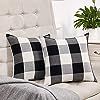 Set of 2 Black and White Buffalo Check Plaid Throw Pillow Covers Farmhouse Decorative Square Pill... | Amazon (US)