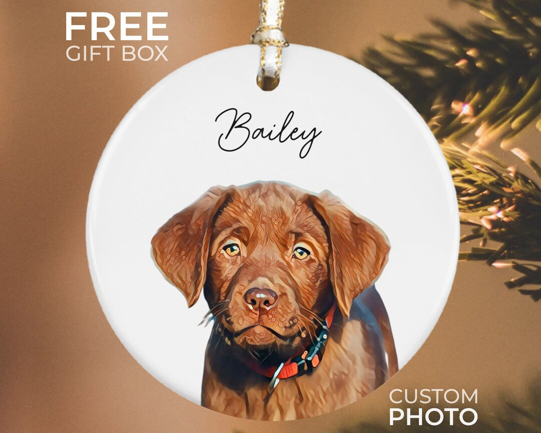 Personalized Pet Ornament, Custom Dog Christmas Ornament, Pet Ornament Using Photo, Cat Christmas... | Etsy (US)
