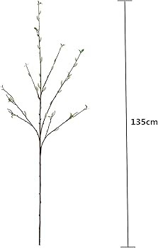 Brand: Elyjhyy | Amazon (US)