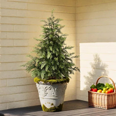 3FT Real Touch Cedar Topiary Trees Set Of 2 - UV Resistant Faux Plants W/Black Pot For Porch Garden Farmhouse Indoor Outdoor Greenery | Wayfair North America
