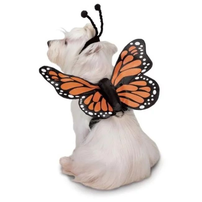 PetEdge UM6411 12 Zack & Zoey Butterfly Glow Harness Costume for Dogs, Small | Walmart (US)