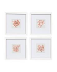 Set Of 4 10x10 Branch Coral Petite Prints | TJ Maxx