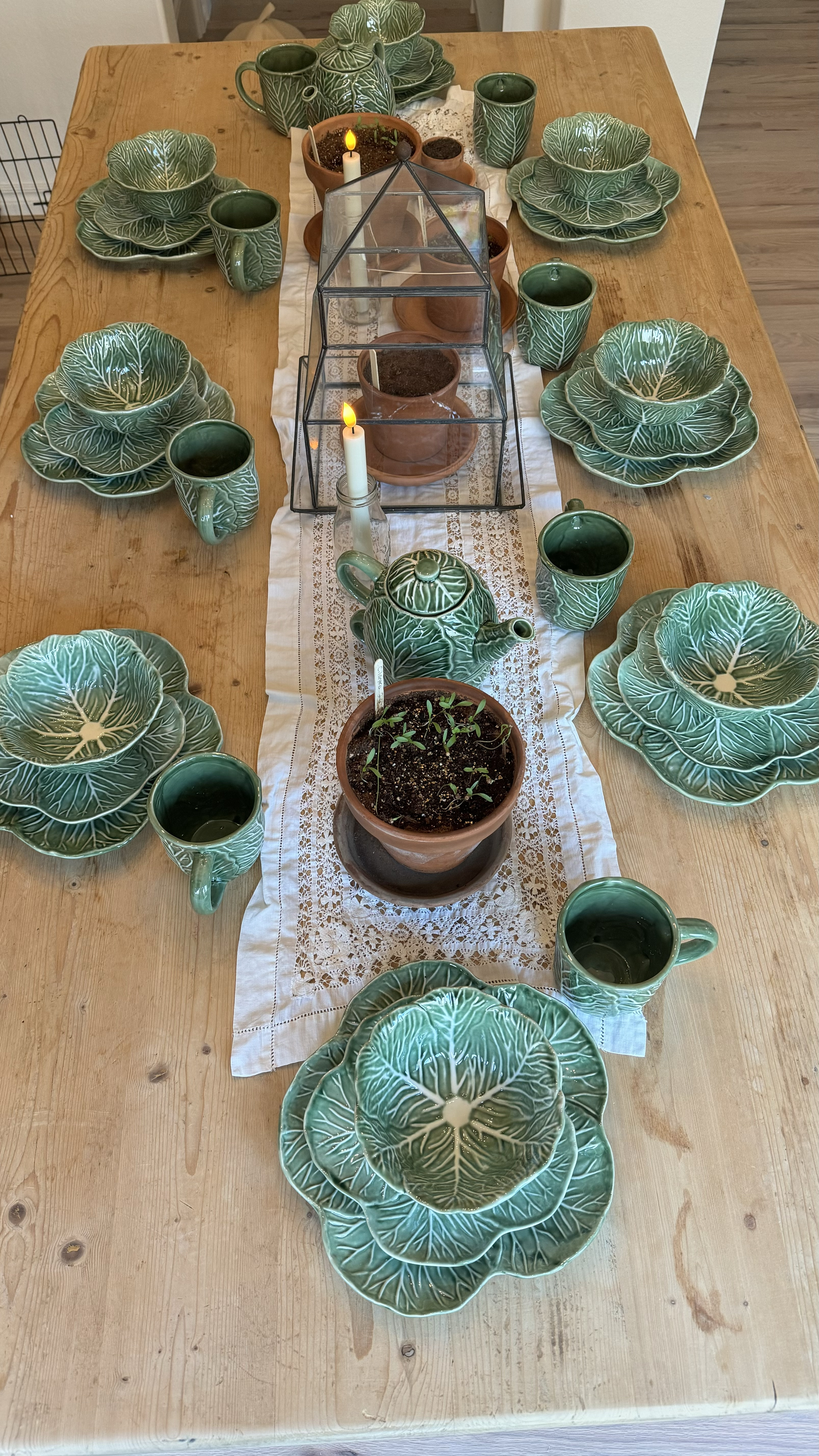 Cabbage plates and bowls are the perfect Spring decor🪴

#LTKSeasonal