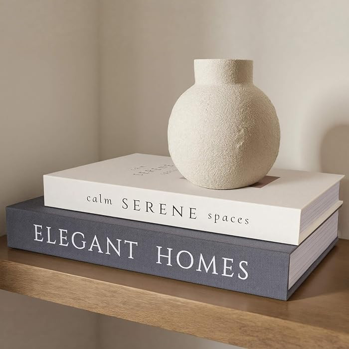 Aesthetic Decorative Books Set of 2 Faux Book for Coffee Table Decor | Amazon (US)
