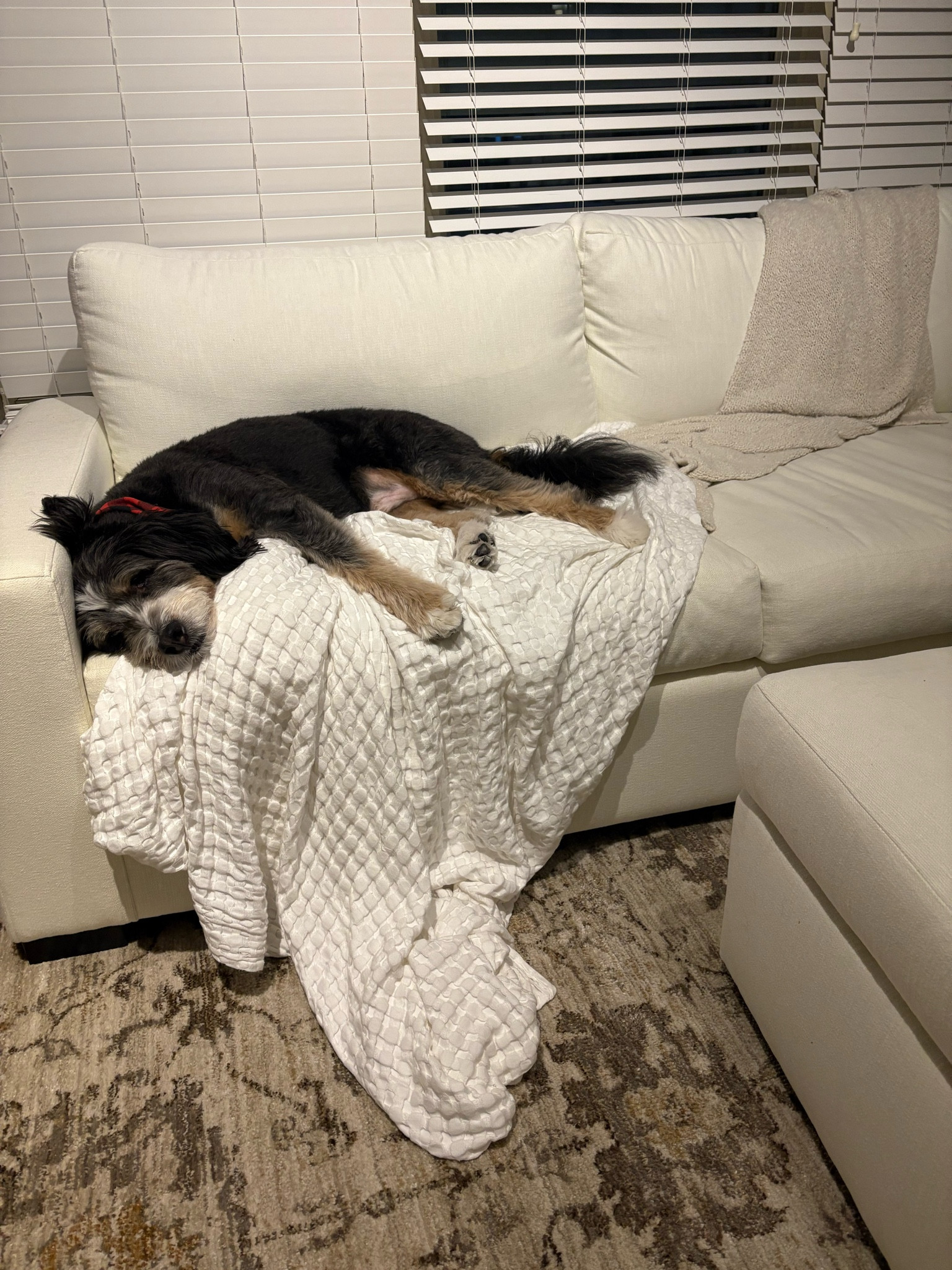 Man what a hard life he lives



#LTKdayinmylife #LTKHome