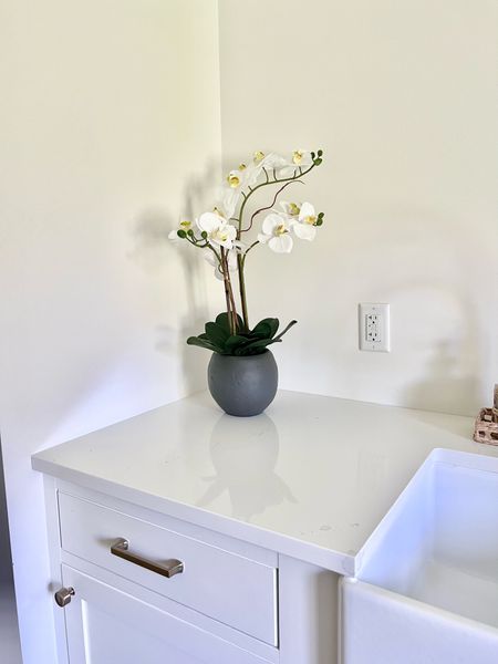 Mother’s Day Gift Idea💕 love the timeless beauty of this white faux orchid - great gift for mom 

#LTKhome