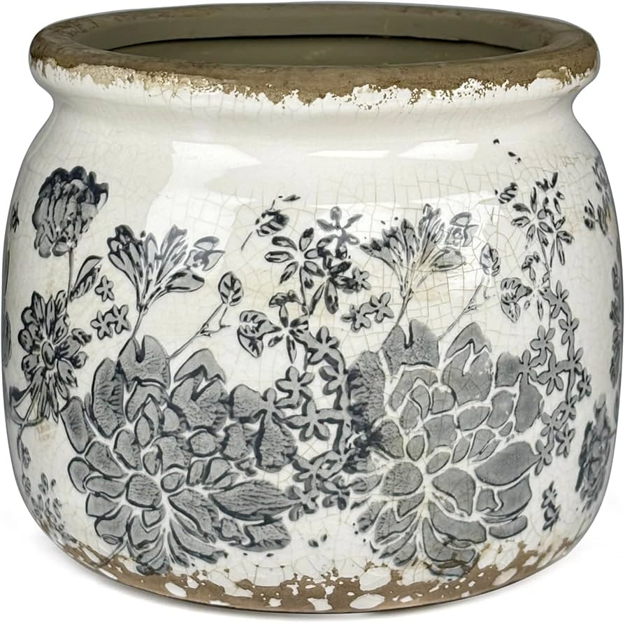 Vintage Grey Ceramic Ice Crack Flower Pot with Drainage Holes, Country Rustic Planters for Indoor... | Amazon (US)
