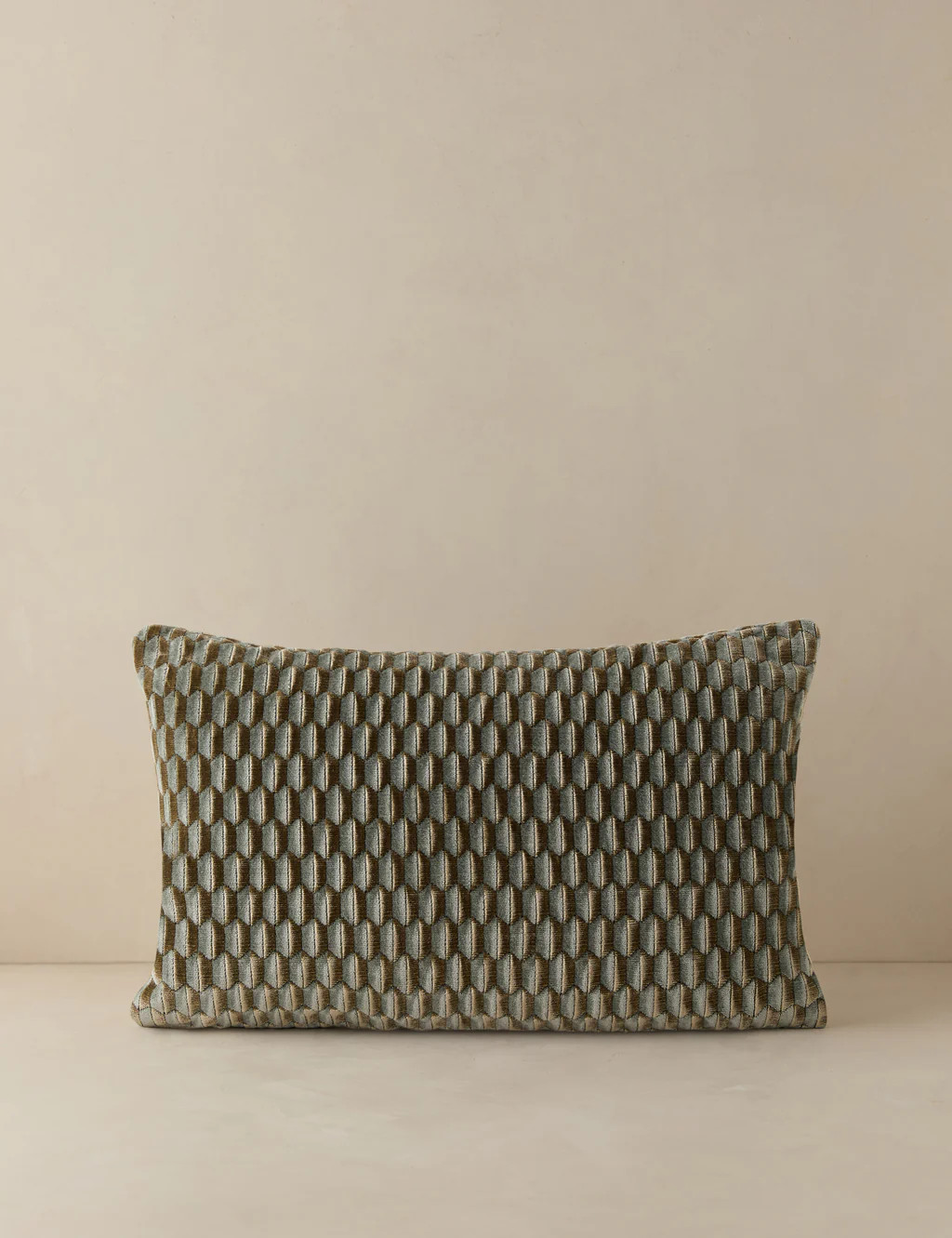 Allegra Velvet Pillow by Scalamandre | Lulu and Georgia 