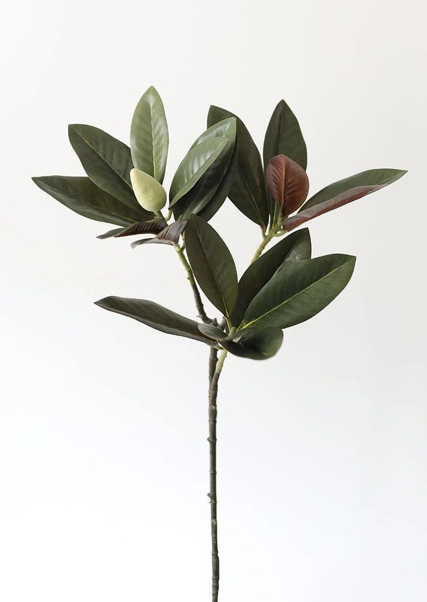 Magnolia Leaf Branch | Fake Plants for the Home at Afloral.com | Afloral