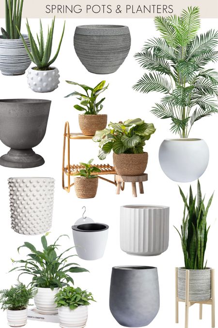 It’s time to get your house ready for spring with @Wayfair’s Presidents’ Day Clearance! Enjoy up to 70% off and fast shipping! There are tons of great deals on planters for both indoors and out including these favorites! #wayfair #wayfairpartner

Indoor planter, outdoor planter, ceramic planter, woven planterr

#LTKfindsunder50 #LTKhome #LTKsalealert