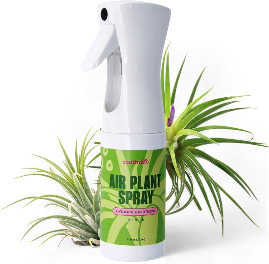 Air Plant Fertilizing Spray by Southside Plants - Fertilizer Mist for Houseplants, Weekly Plant F... | Amazon (US)
