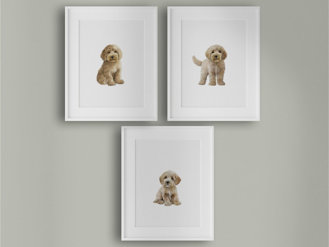 GOLDENDOODLE Nusery Decor. Set of 3 Golden Doodle Nursery Wall Art Prints. Doodle Dog Puppy Nurse... | Etsy (US)