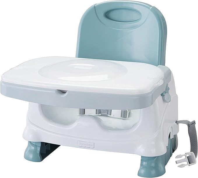Fisher-Price Healthy Care Deluxe Booster Seat | Amazon (US)