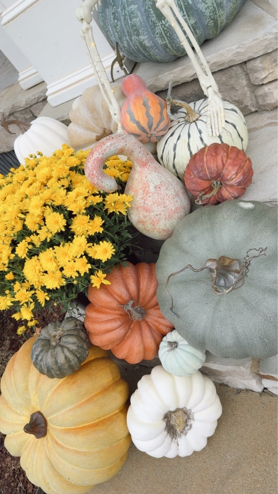 Year two with these pumpkins from pottery barn! @Pottery Barn