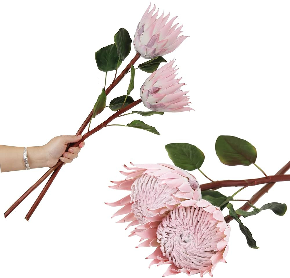 4pcs Artificial Protea Flowers,26 Inch Super Long Stem Faux Protea Artificial Flowers, Silk Prote... | Amazon (US)