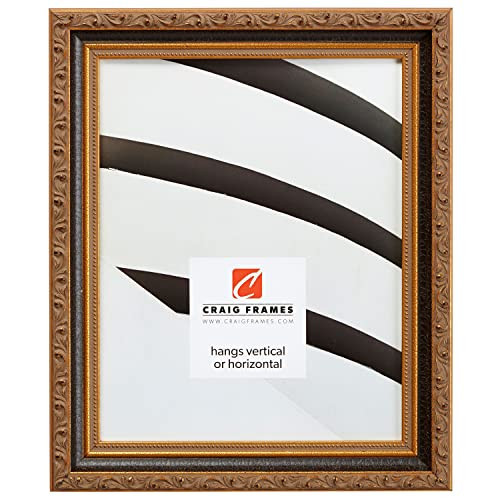 Craig Frames Regence, 16x20 Picture Frame, Black & Gold | Amazon (US)