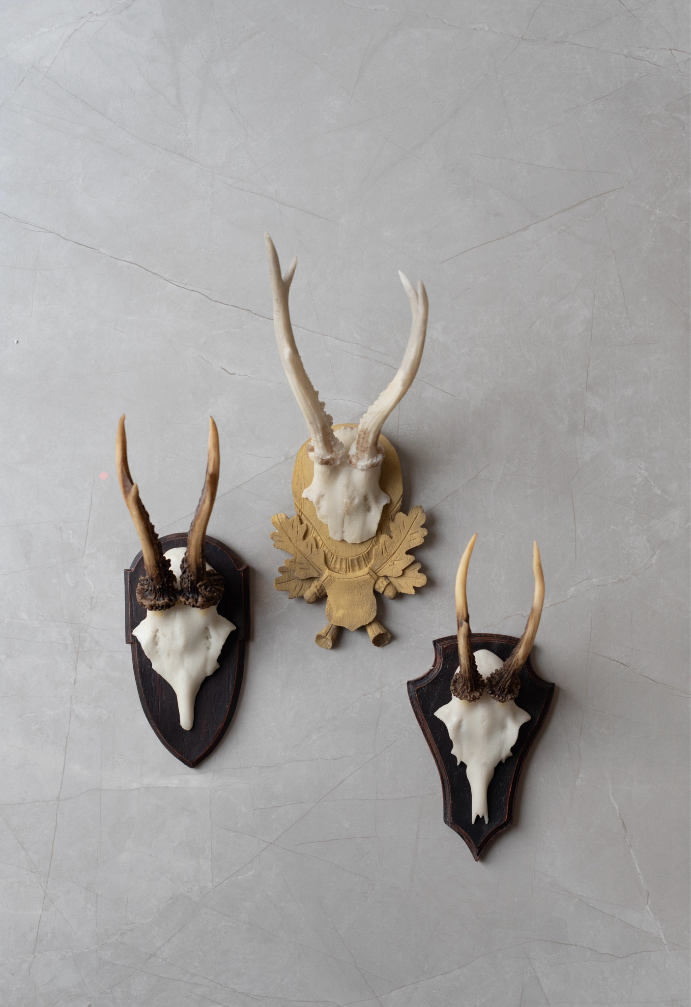 European mounted taxidermy finds for fall 

#LTKStyleTip #LTKHome #LTKSeasonal