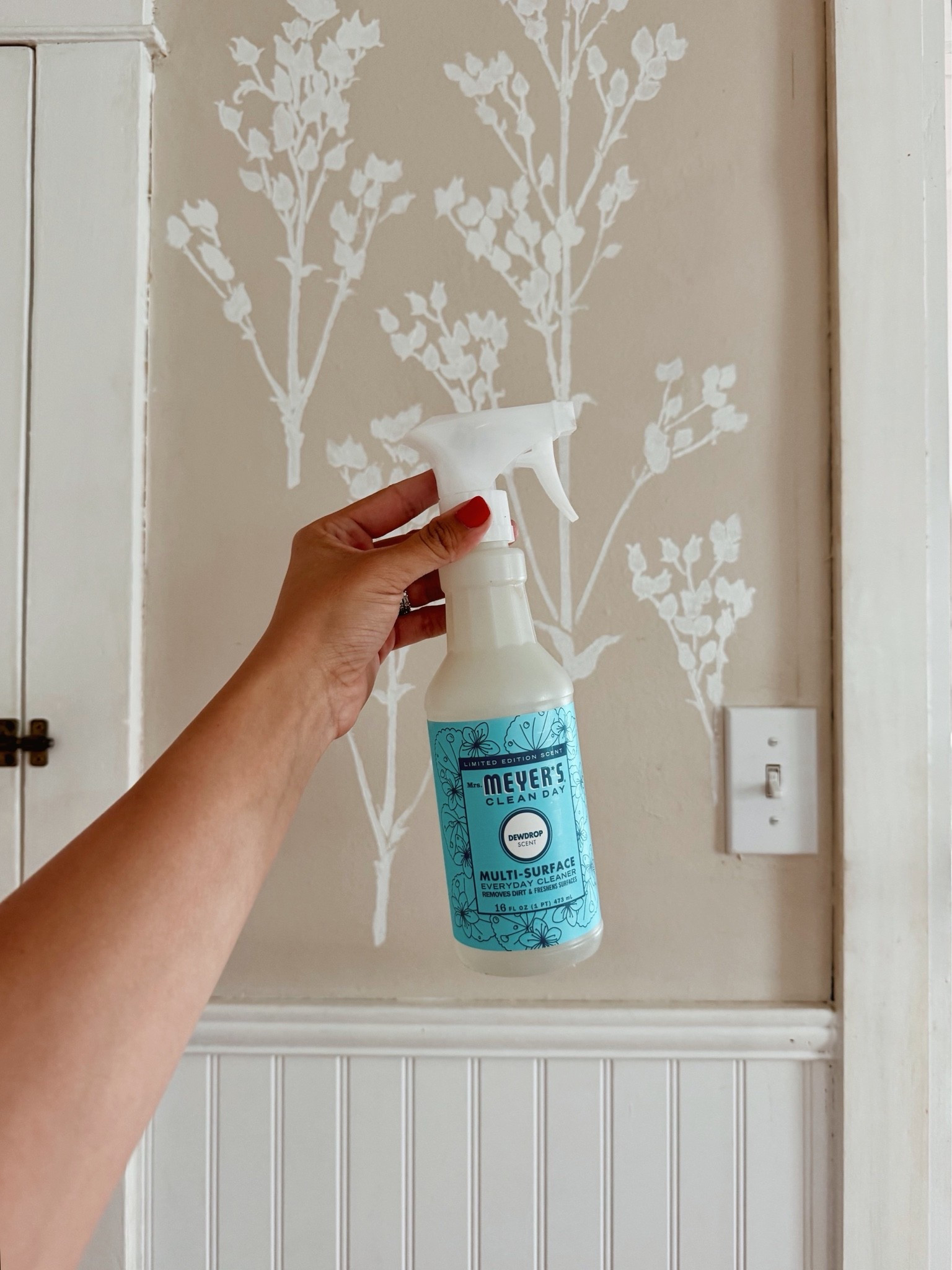 My favorite Mrs. Meyer’s cleaning scent🤍🫧

#LTKHome #LTKSeasonal #LTKmomlife